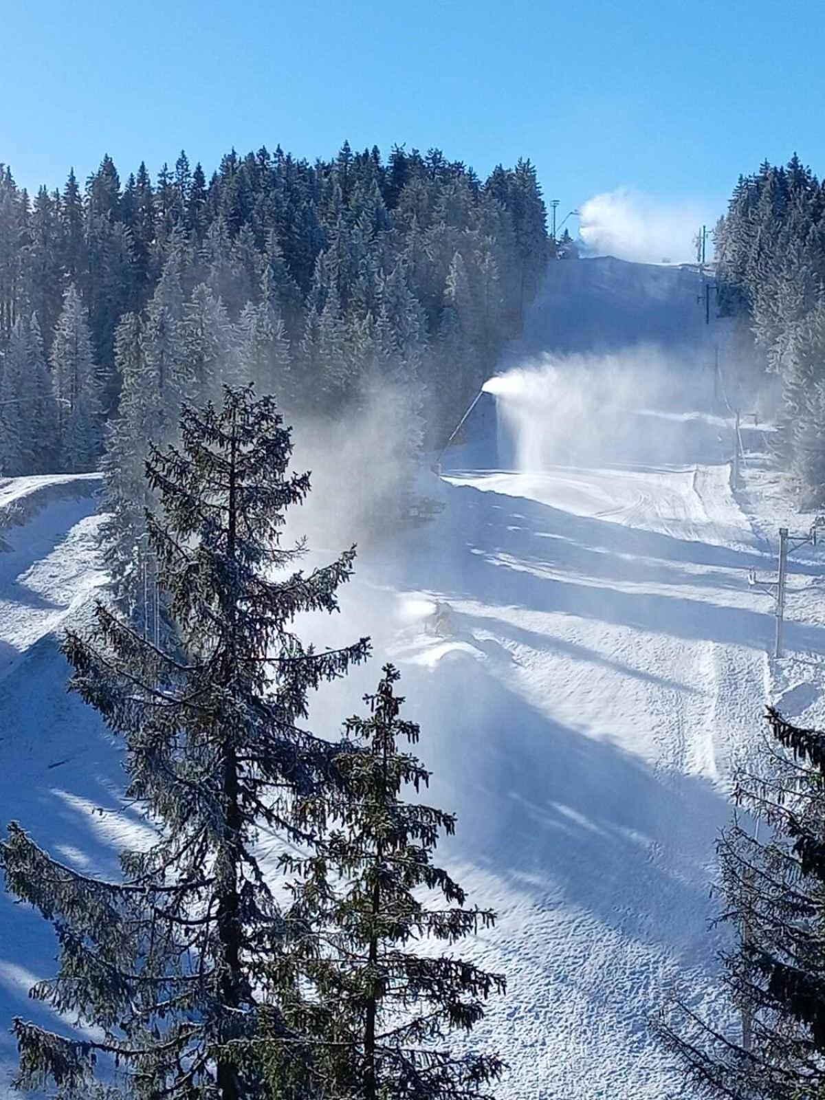 Woodside Woodside Apartments Kopaonik Free Parking & Spa , Free Ski Locker ภายนอก รูปภาพ